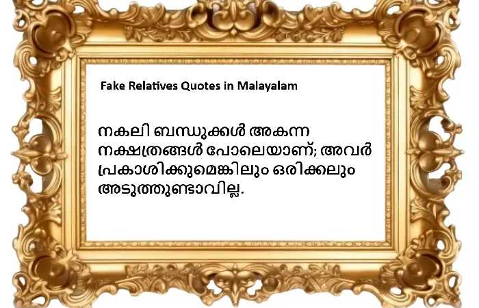 Fake Relatives Quotes in Malayalam